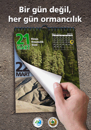 Sorubak Bilgi Bankas�
