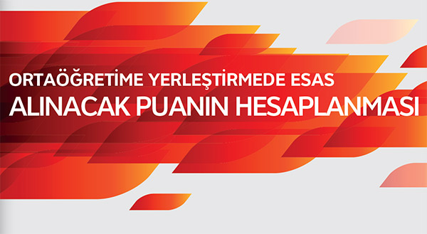 2014 Teog Puanı Hesaplama
