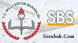 2013 Sbs Sorular ve Cevaplar sorubak'ta