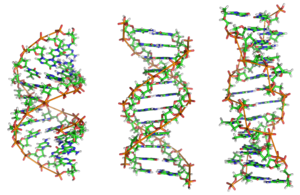 From left to right, the structures of A, B and... From left to right, the structures of A, B and...