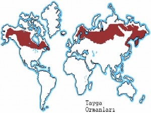 karasal