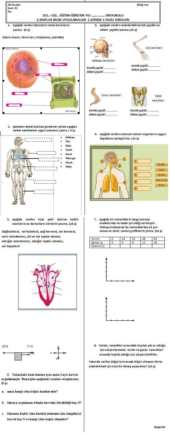 6.sınıf bilim uygulamaları 1.dönem 2.yazılı soruları
