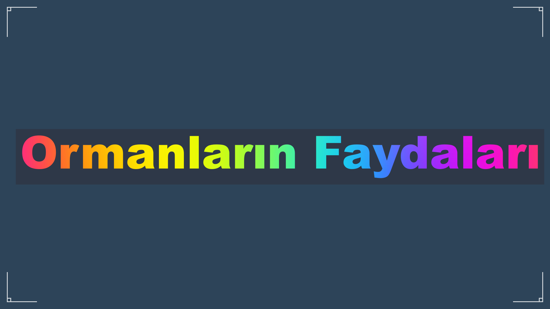 Ormanların Faydaları