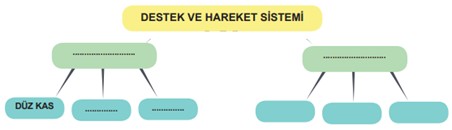 Soru görseli