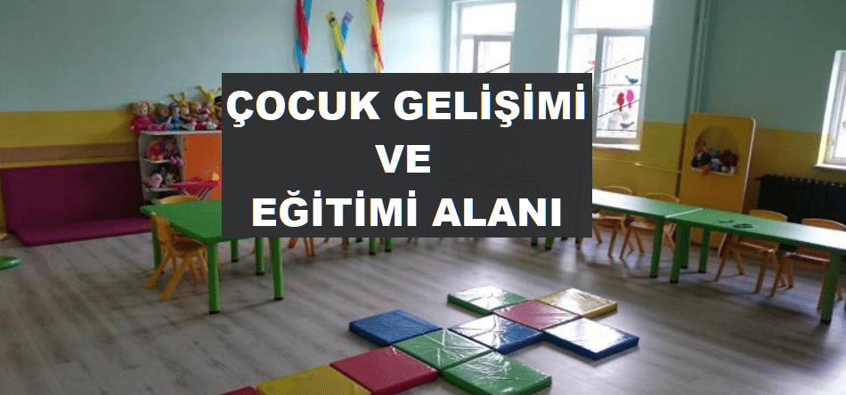 Çocuk Gelişimi ve Eğitimi Alanı