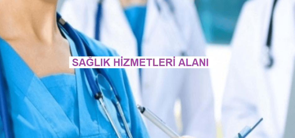 Sağlık Hizmetleri Alanı