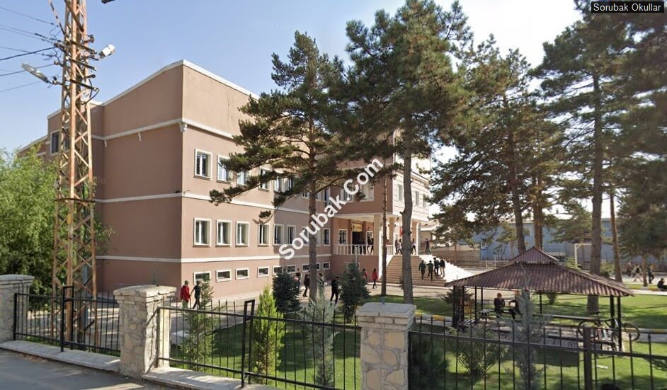 Niyazi Türkmenoğlu Anadolu Lisesi