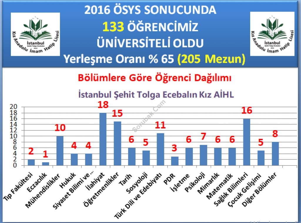 �stanbul K�z Anadolu �mam Hatip Lisesi