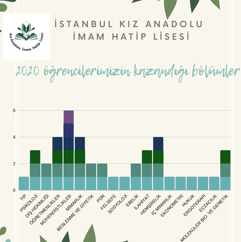 �stanbul K�z Anadolu �mam Hatip Lisesi