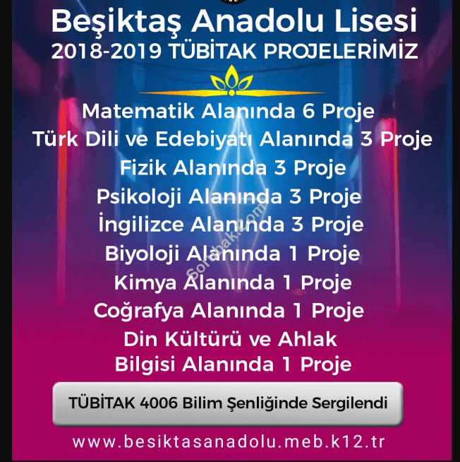 Beşiktaş Anadolu Lisesi