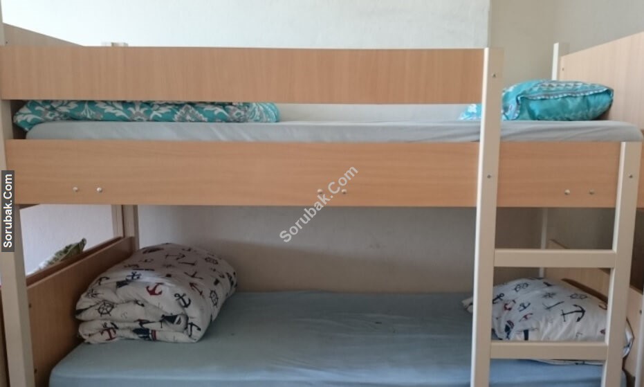 Bursa Anadolu Lisesi