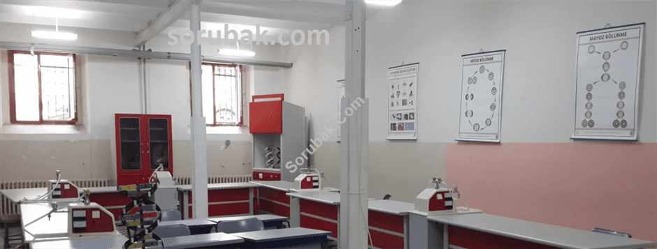 Kemal Atatürk Anadolu Lisesi