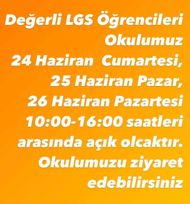 İstanbul Anadolu Lisesi