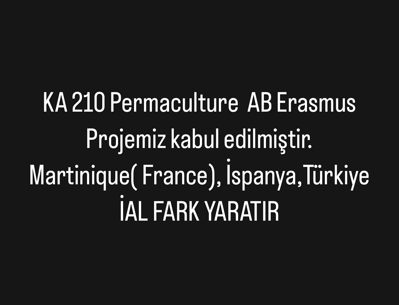 İstanbul Anadolu Lisesi