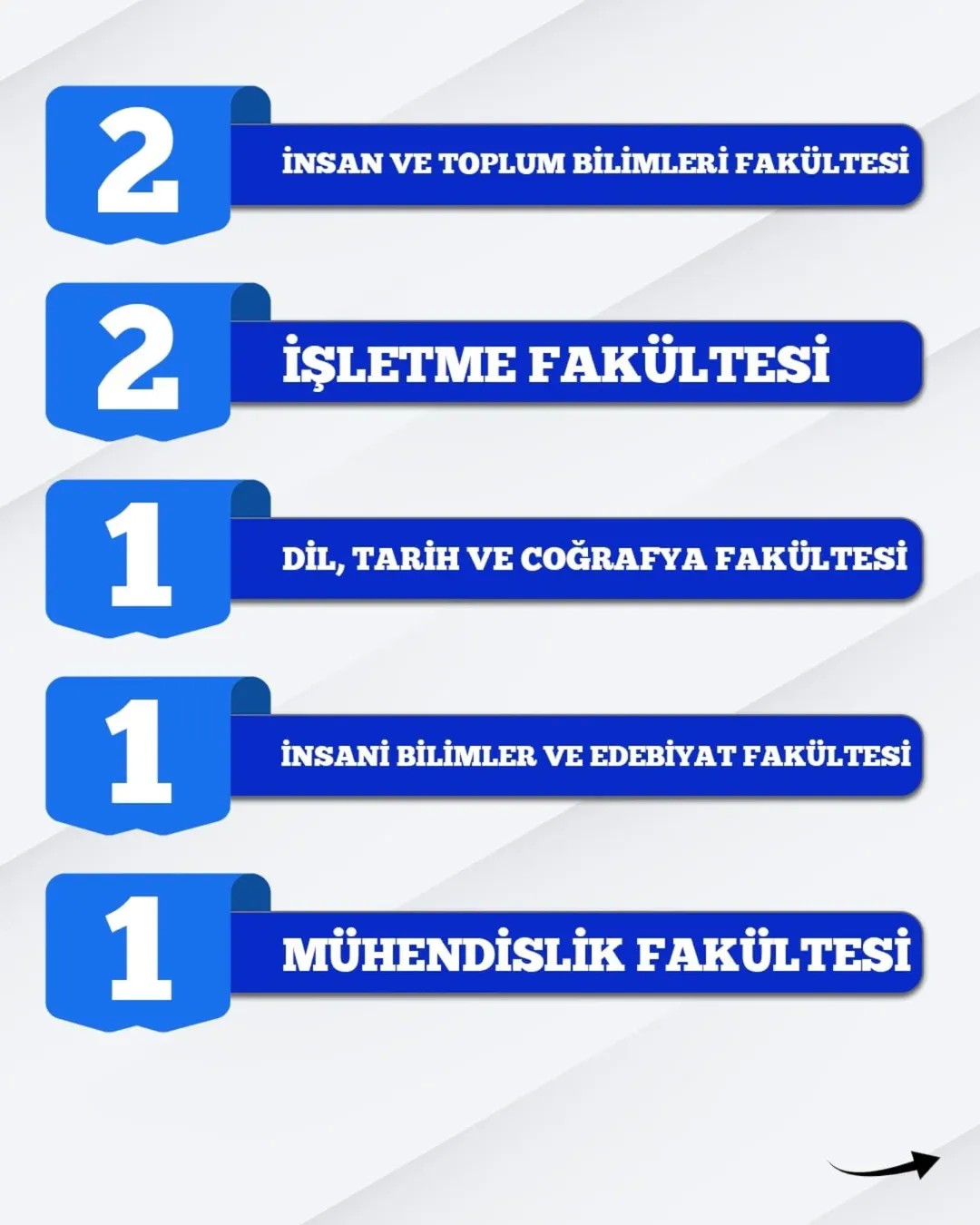Samsun İbrahim Tanrıverdi Sosyal Bilimler Lisesi