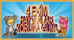 Sorubak Bilgi Bankası
